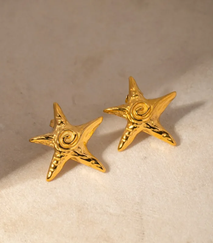 Stainless Steel Star Shape Earrings